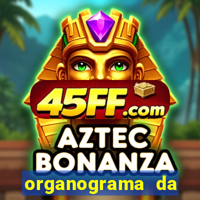 organograma da cacau show